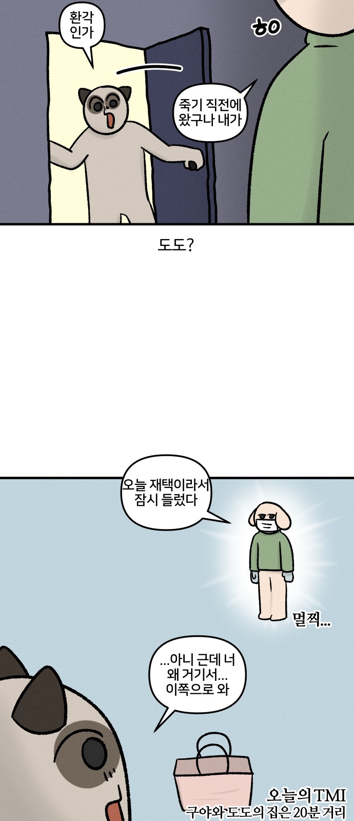 6 페이지