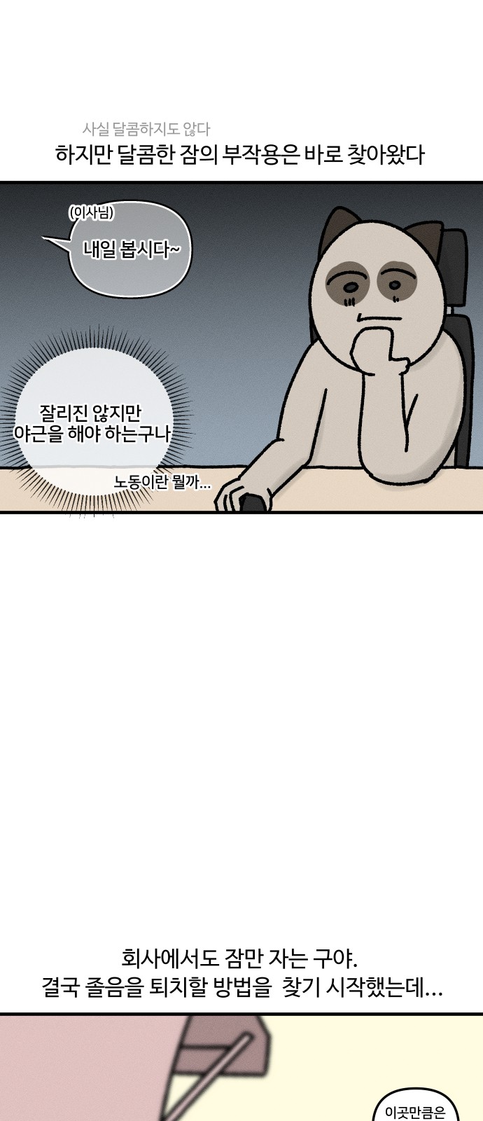 19 페이지