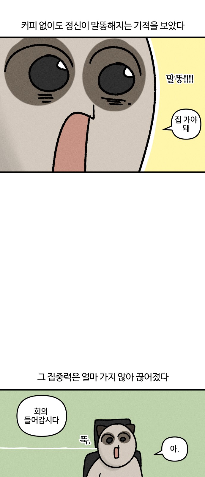 11 페이지