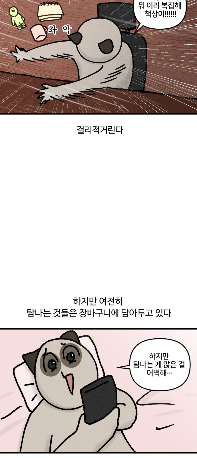 17 페이지