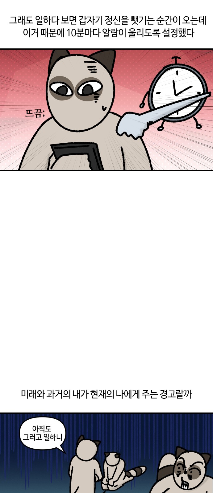 11 페이지