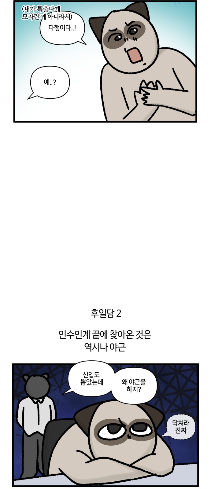 17 페이지