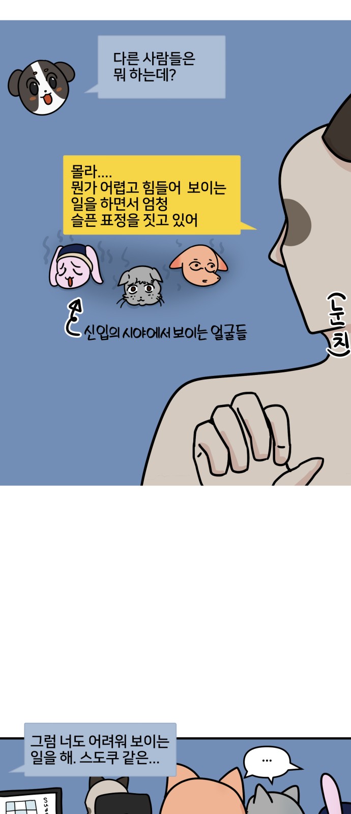 14 페이지