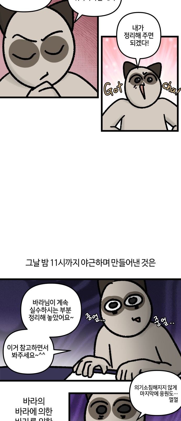 17 페이지