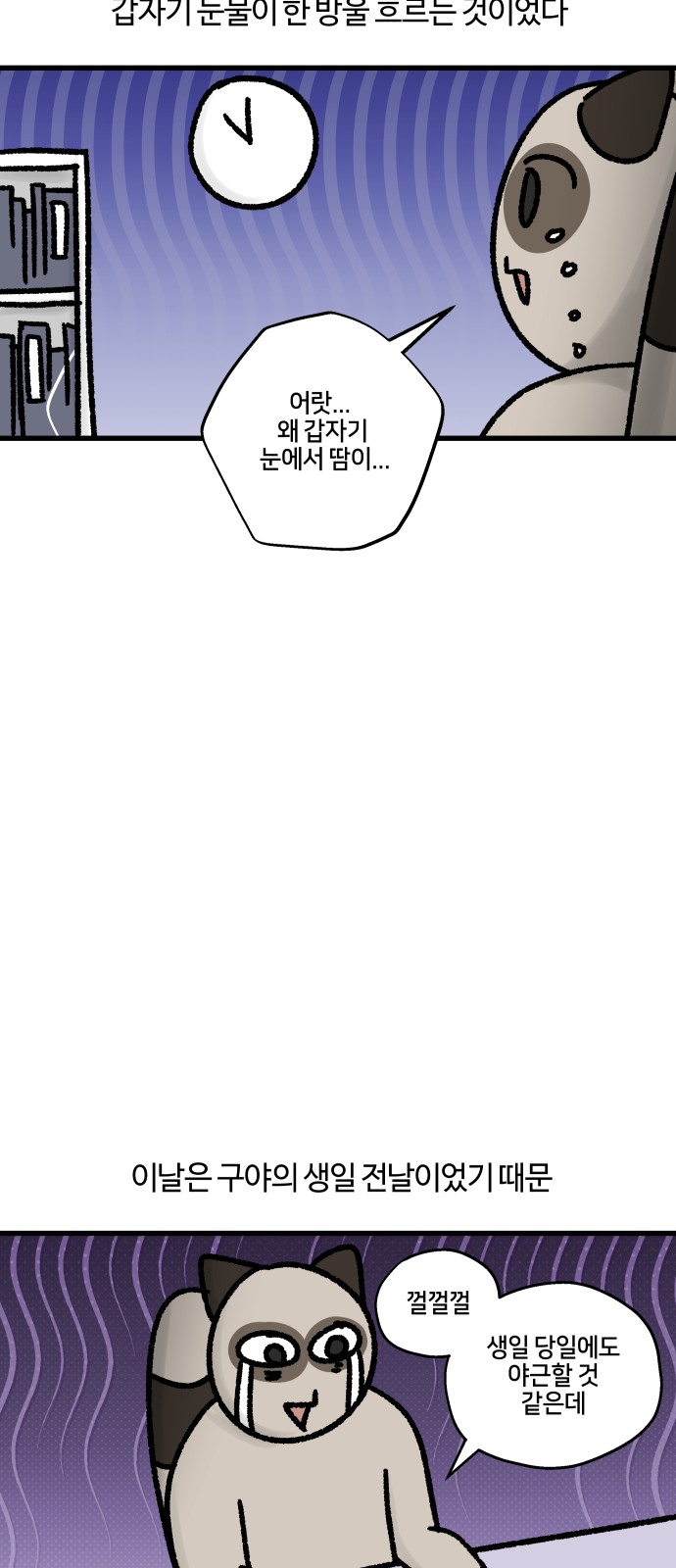 14 페이지
