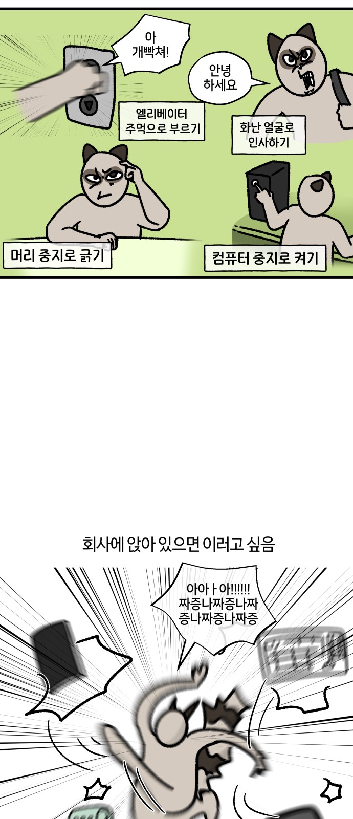 14 페이지