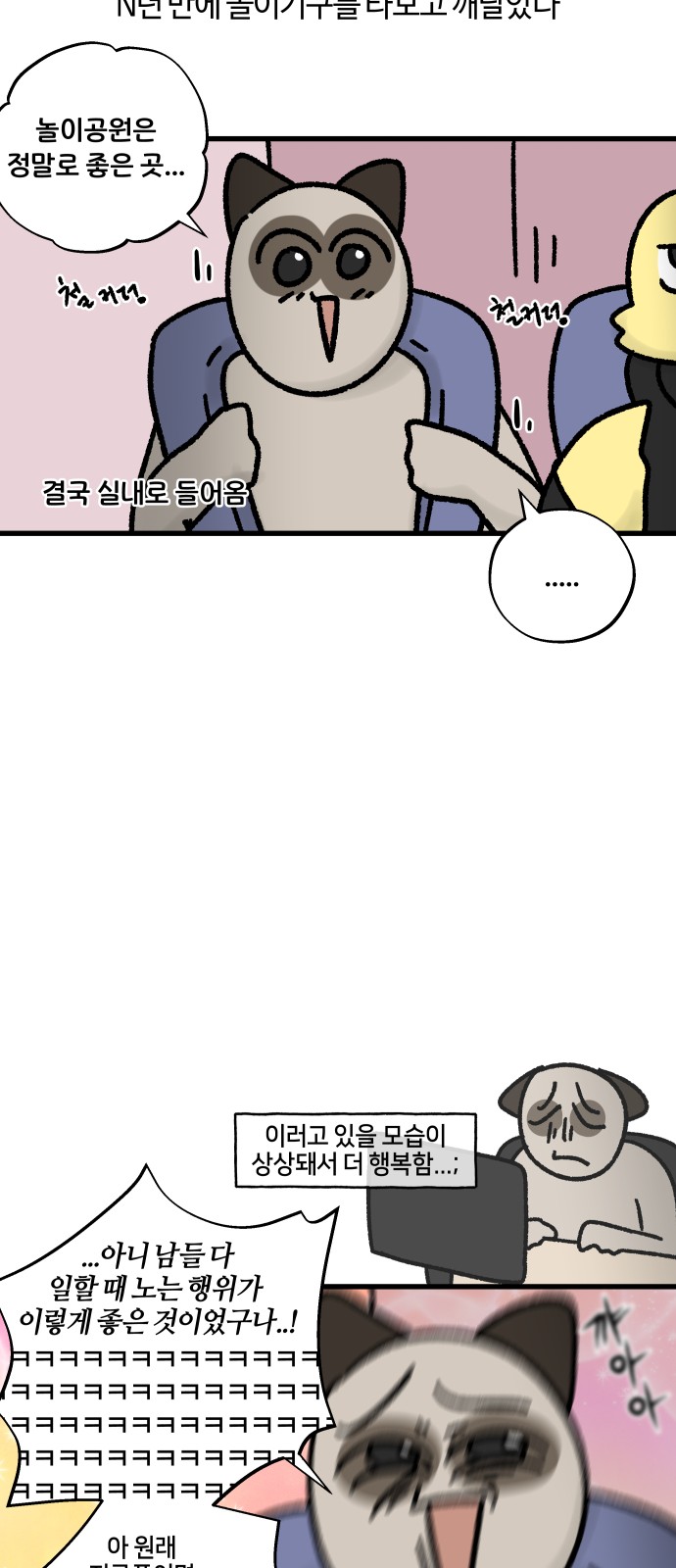 11 페이지