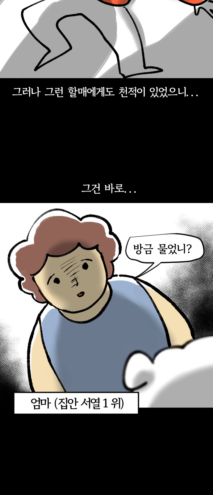 14 페이지