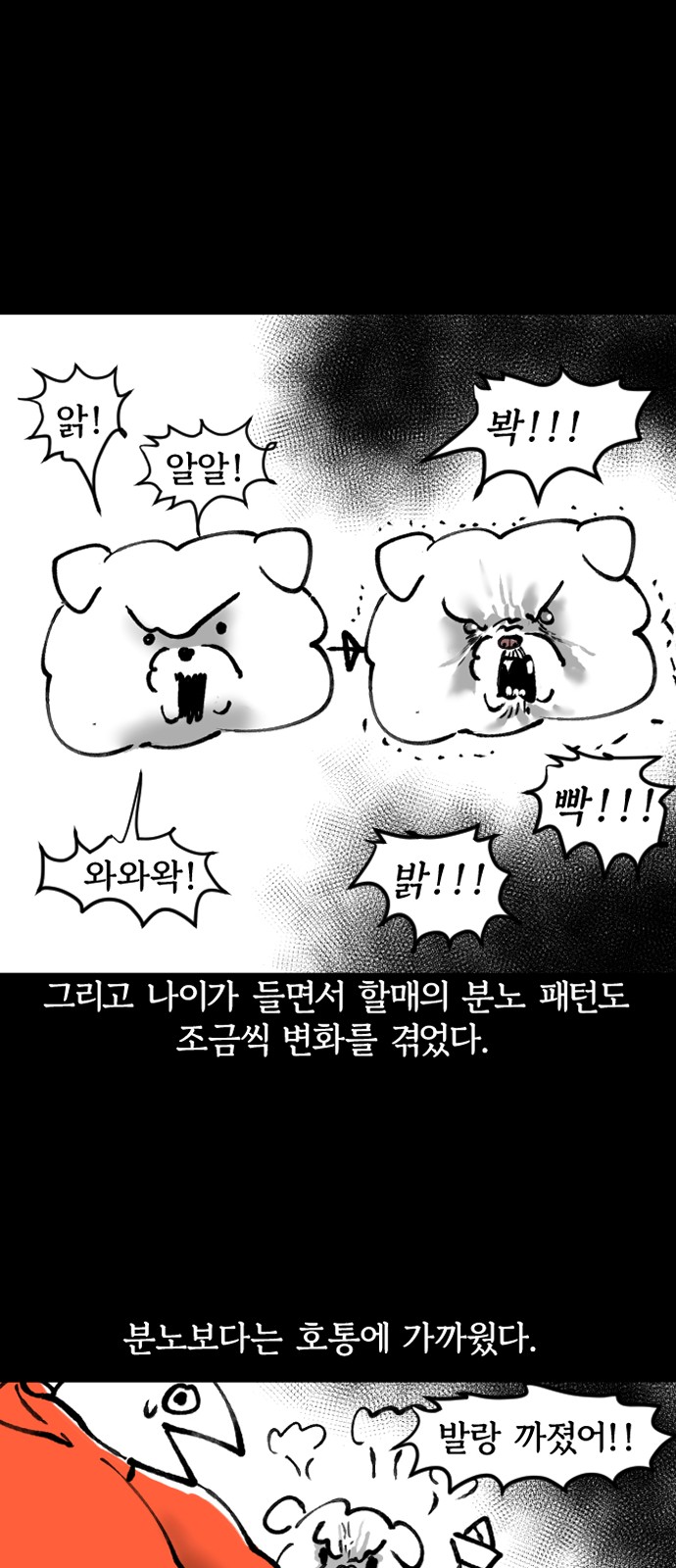 19 페이지