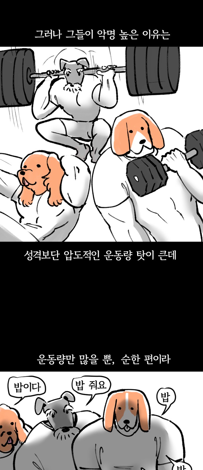 4 페이지