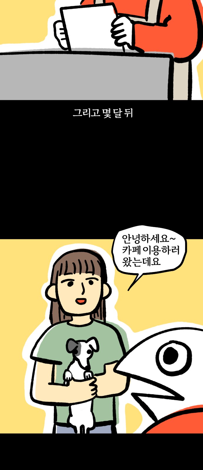 17 페이지