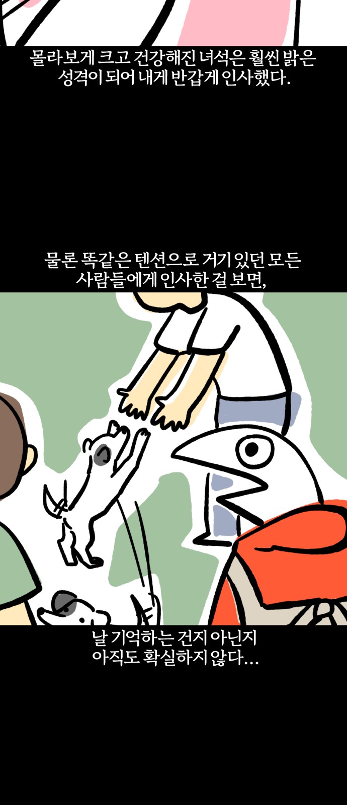 20 페이지