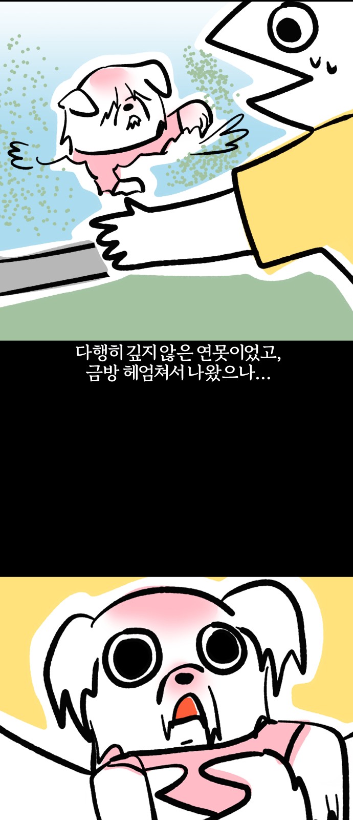 12 페이지
