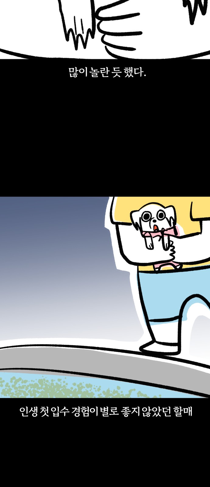 13 페이지