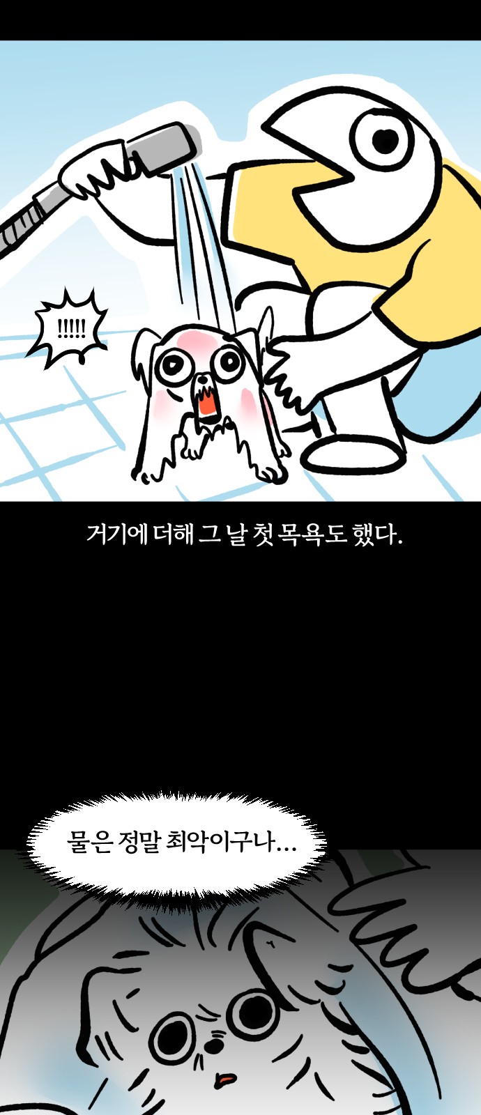 14 페이지