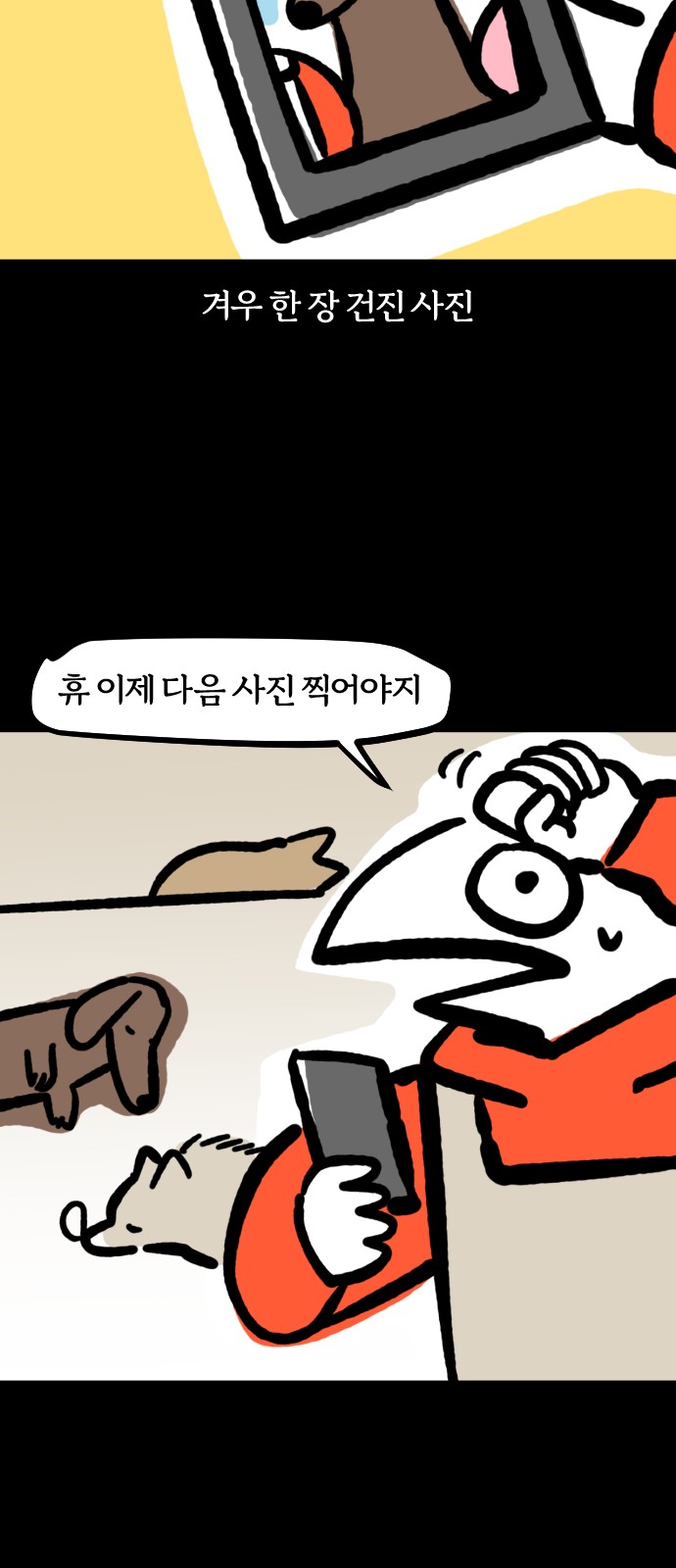 19 페이지