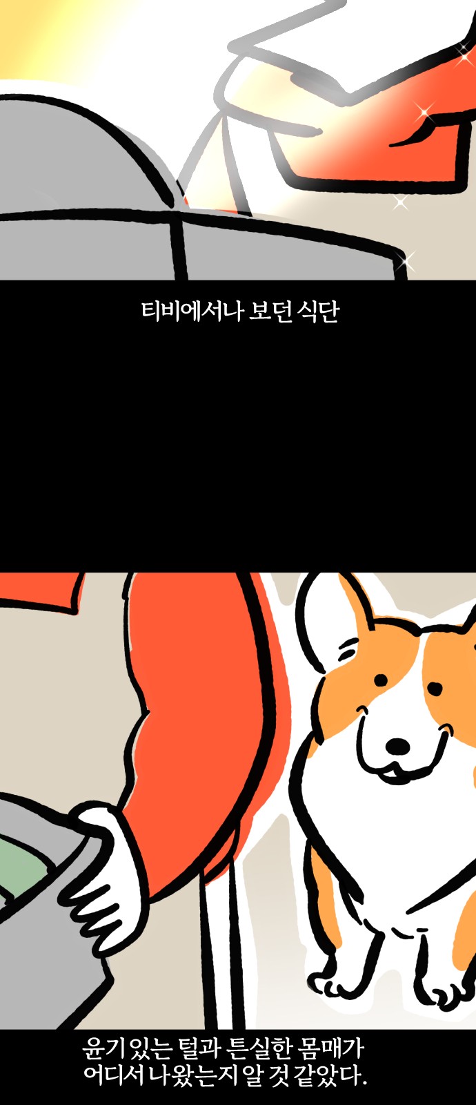 13 페이지