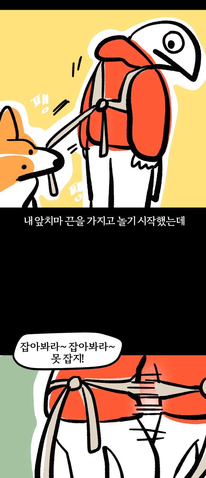 17 페이지