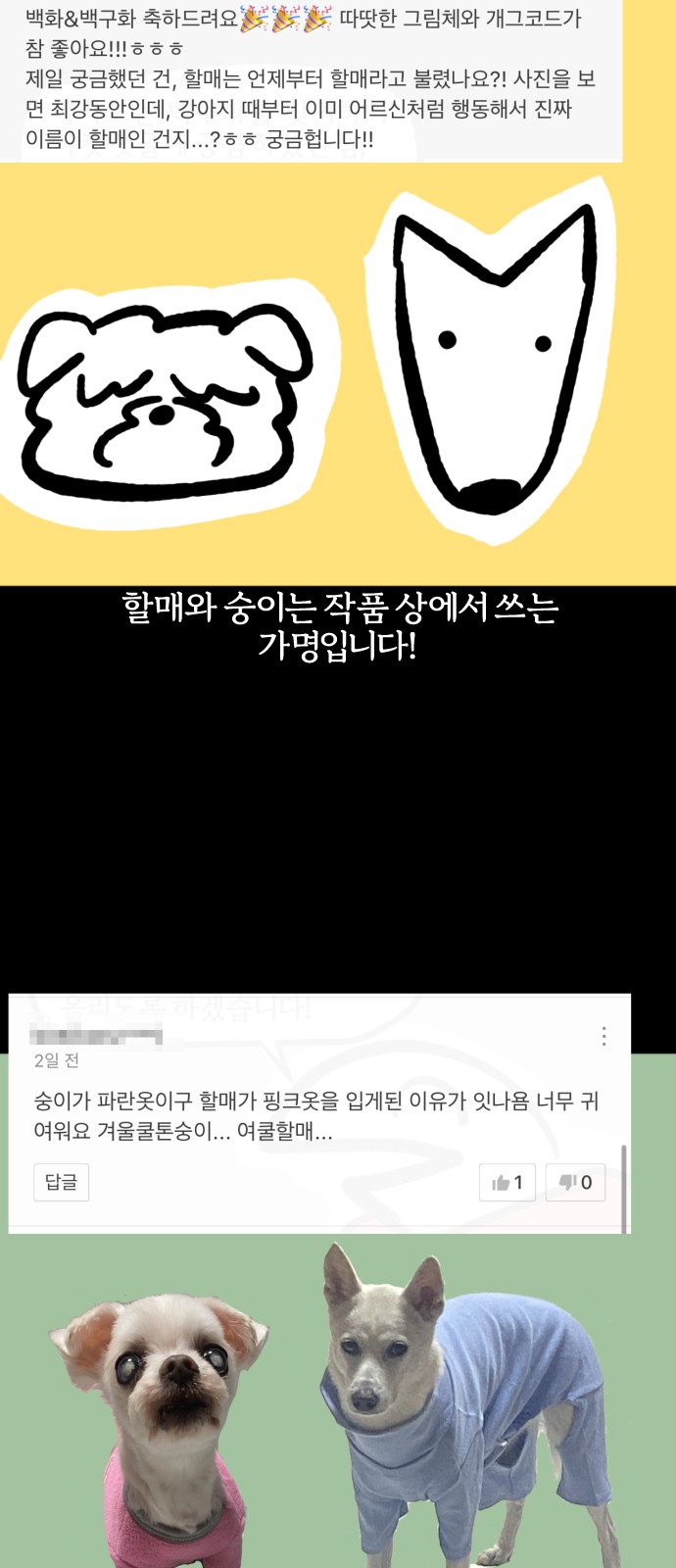 11 페이지