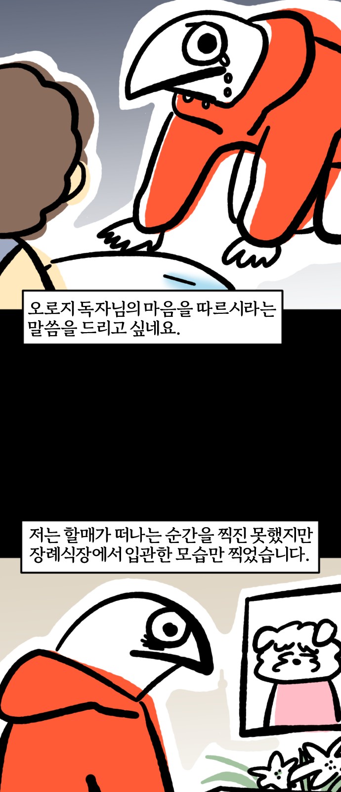16 페이지