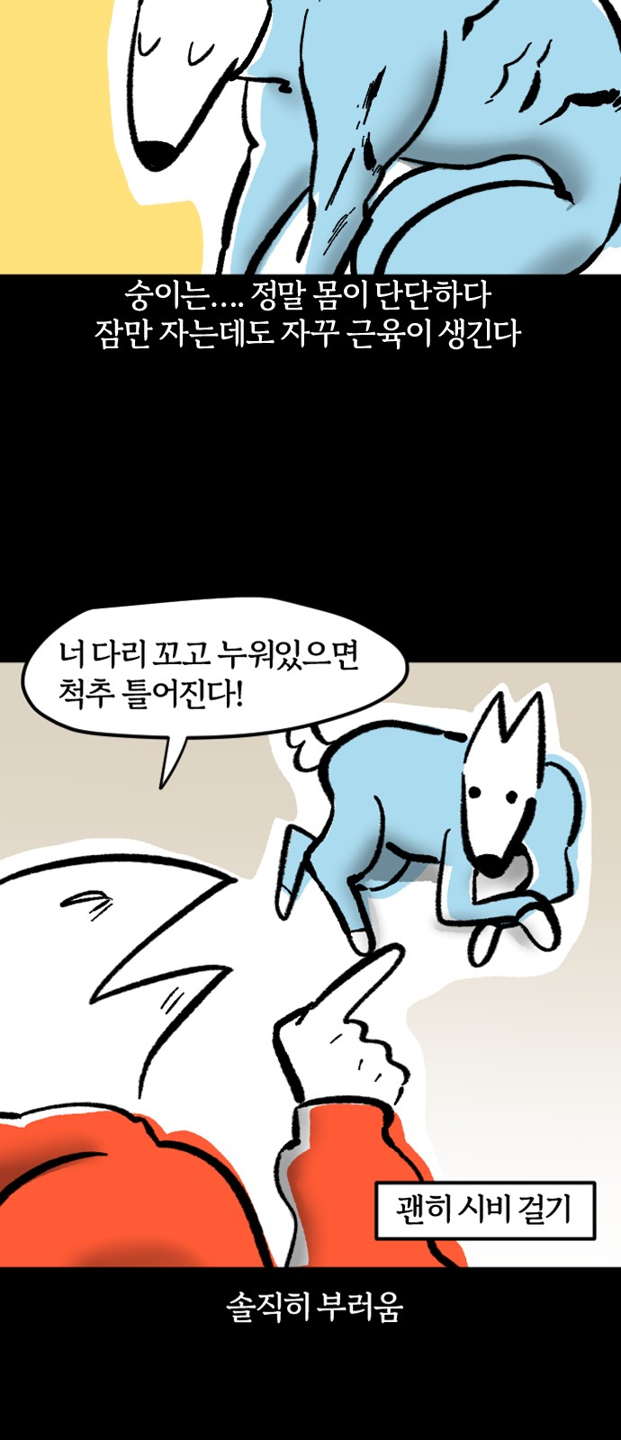 13 페이지
