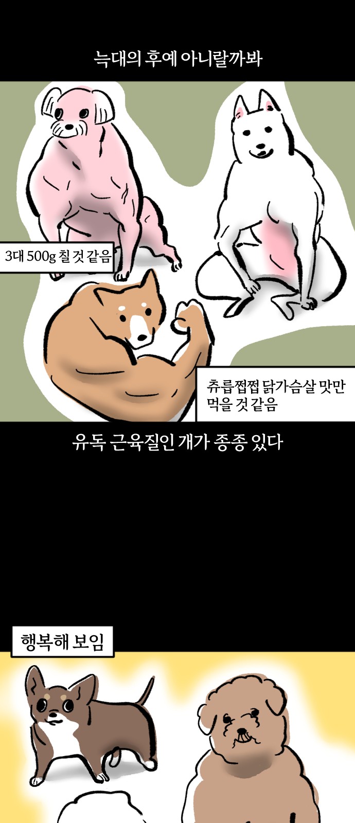 14 페이지