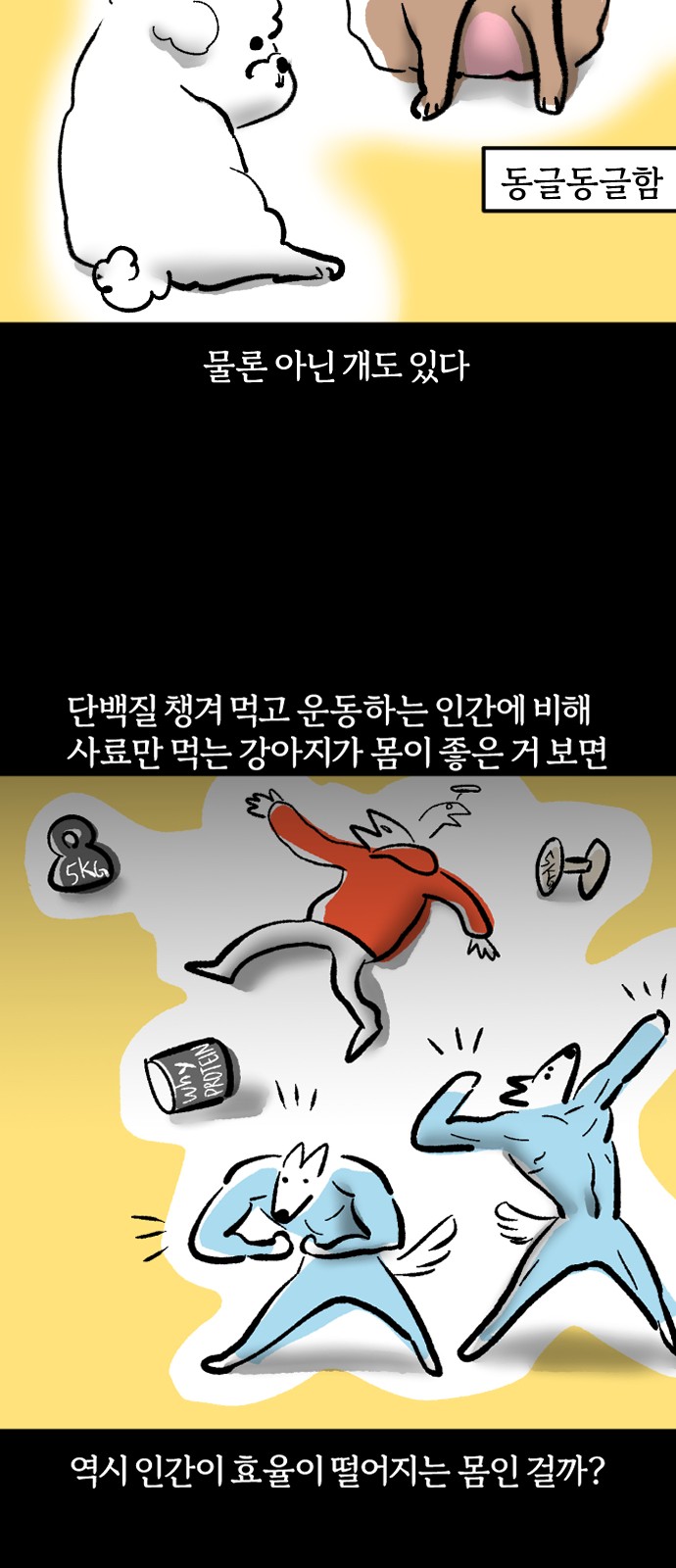 15 페이지