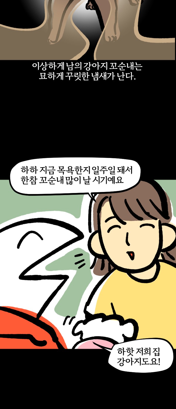 11 페이지