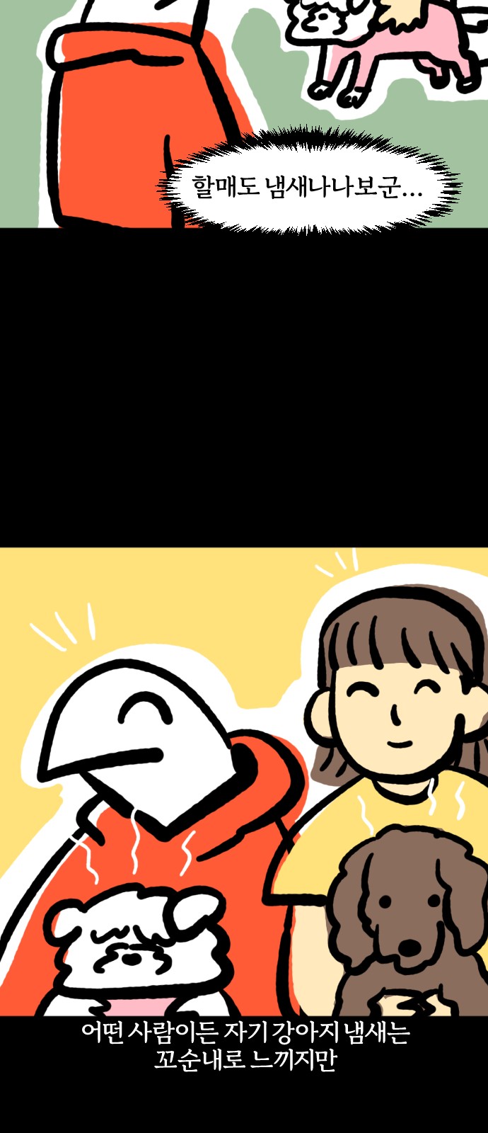 13 페이지