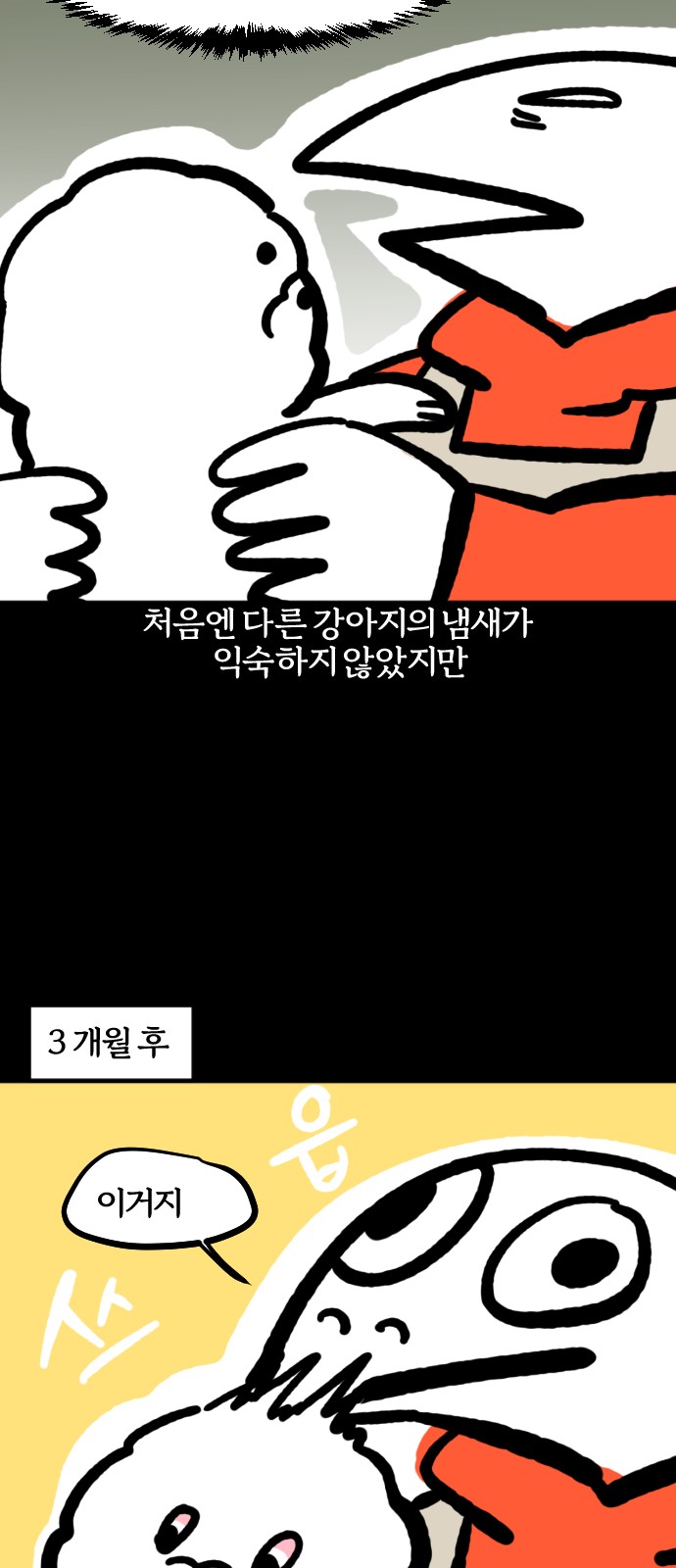 17 페이지