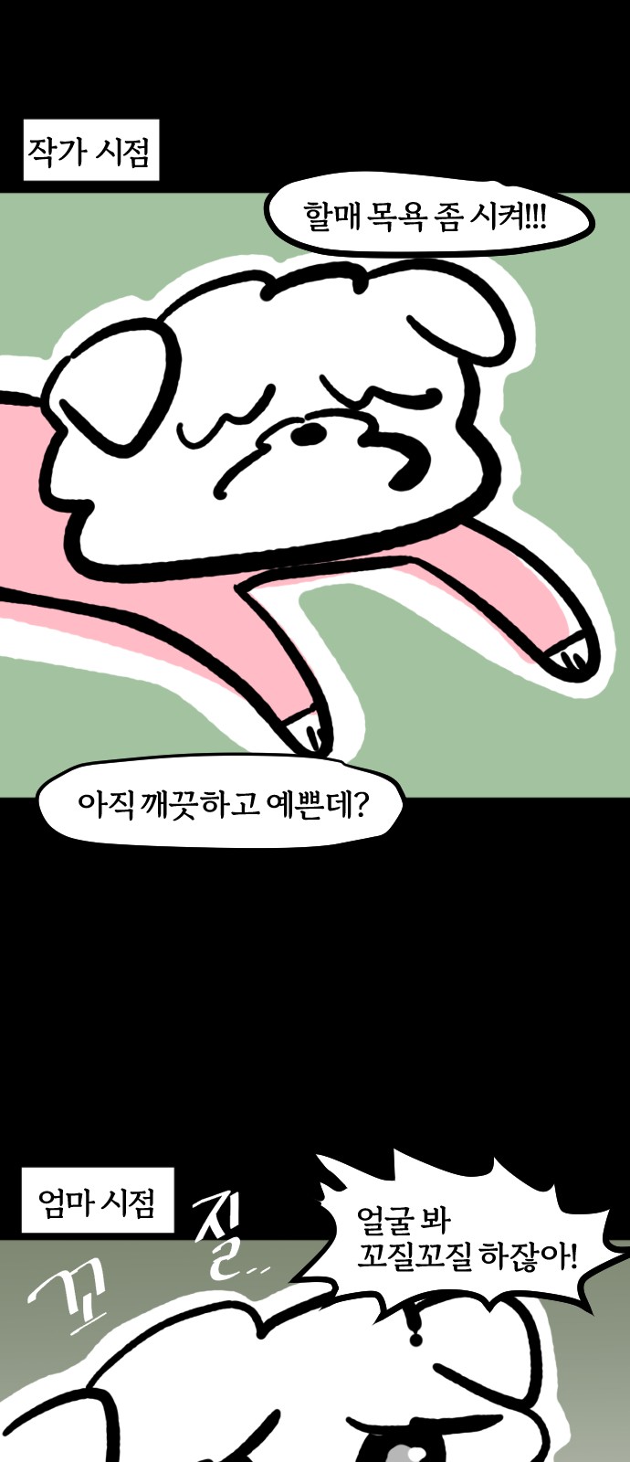 5 페이지
