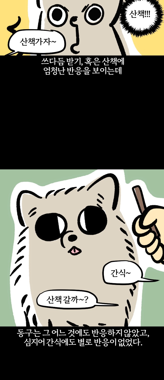 11 페이지
