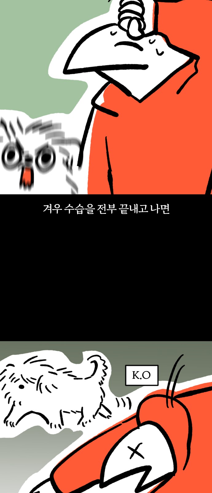 19 페이지