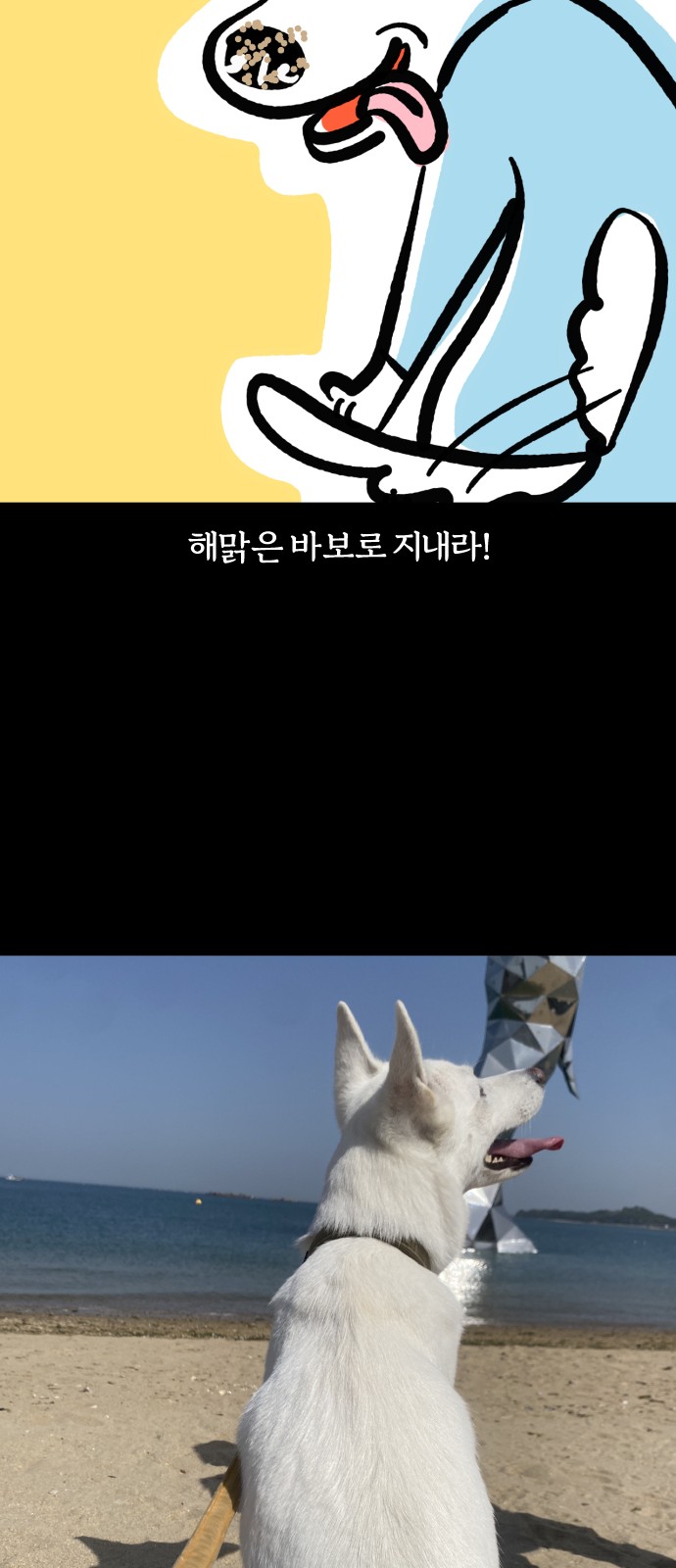 20 페이지