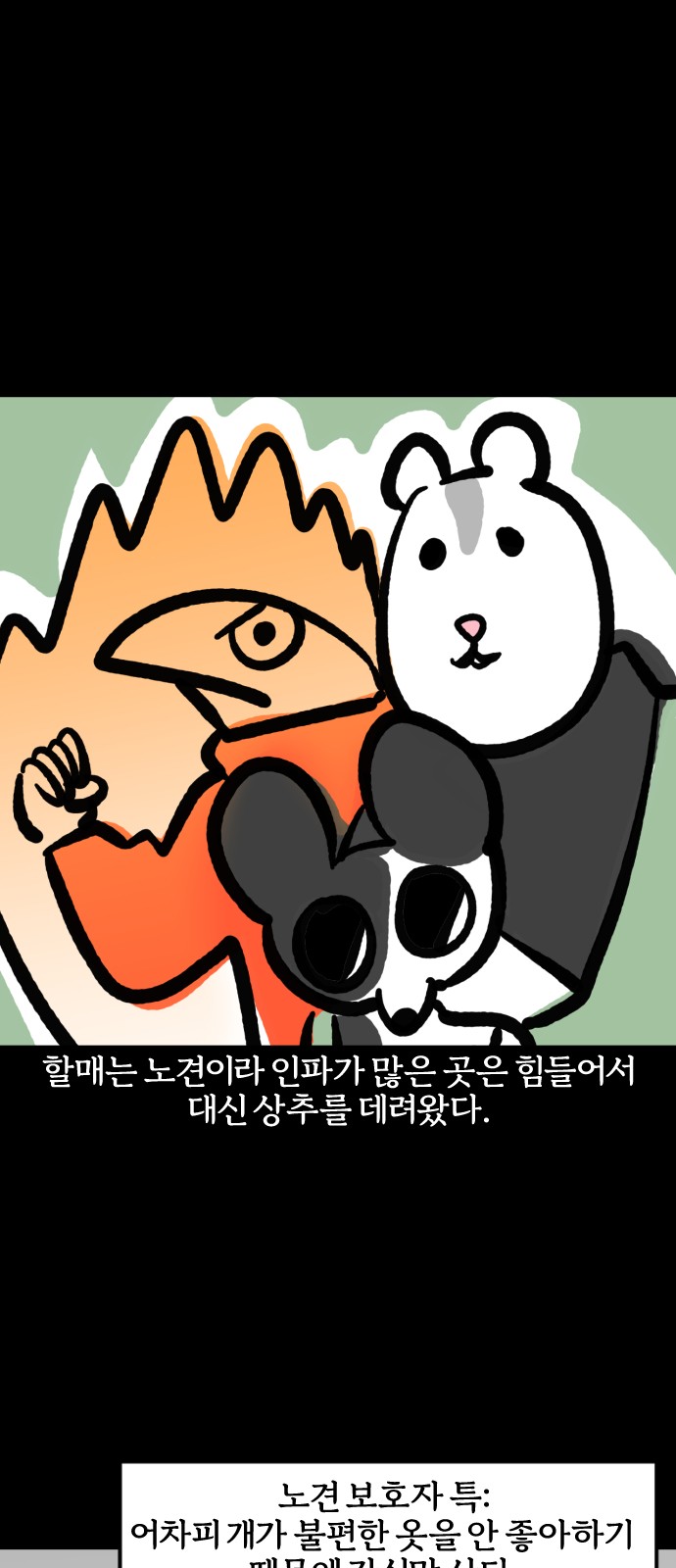 12 페이지