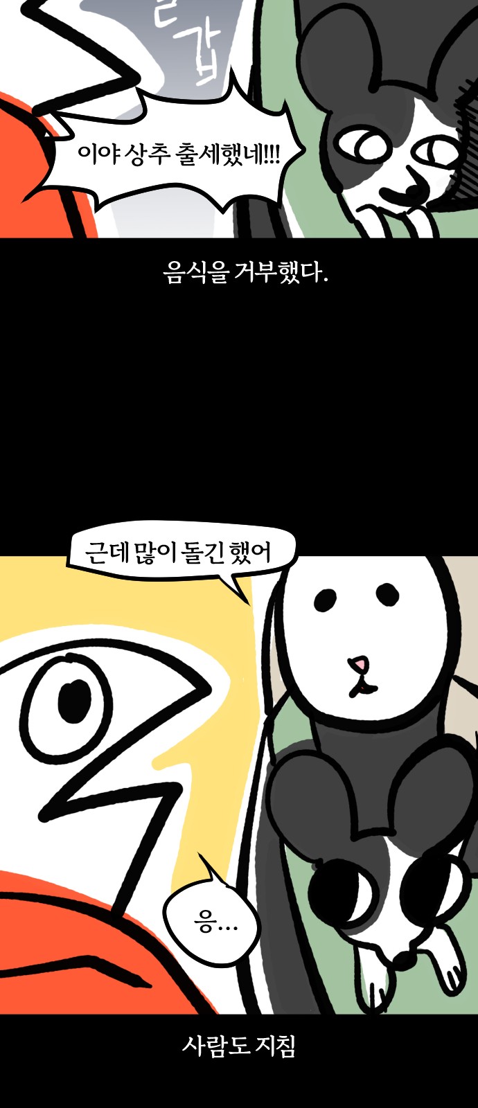 16 페이지