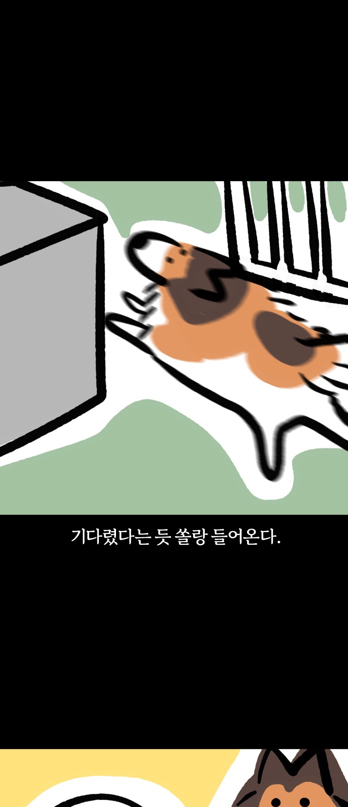 12 페이지