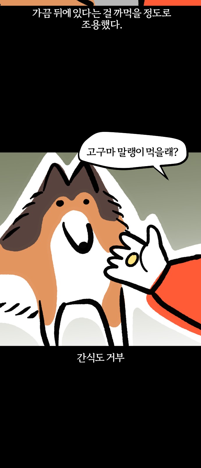 14 페이지