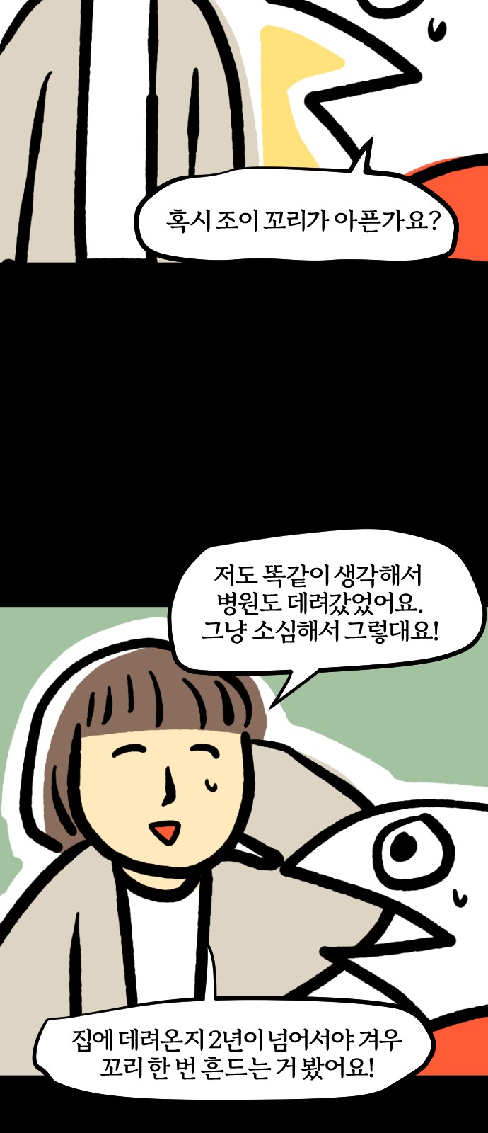 18 페이지