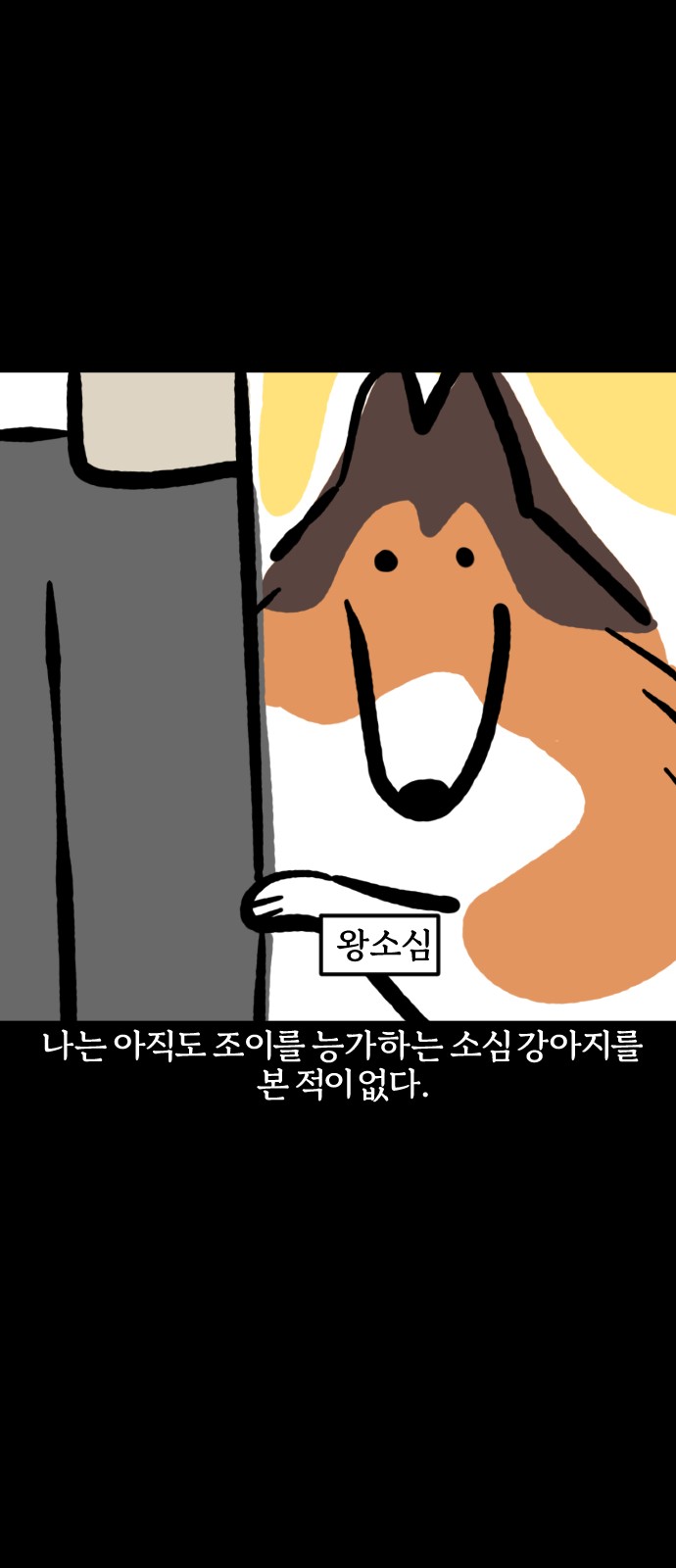 19 페이지