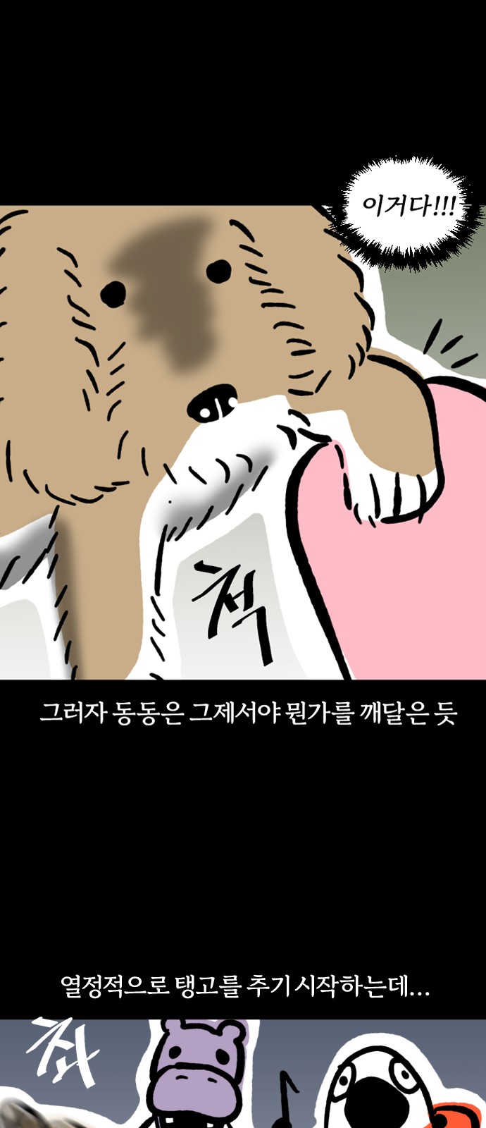 19 페이지
