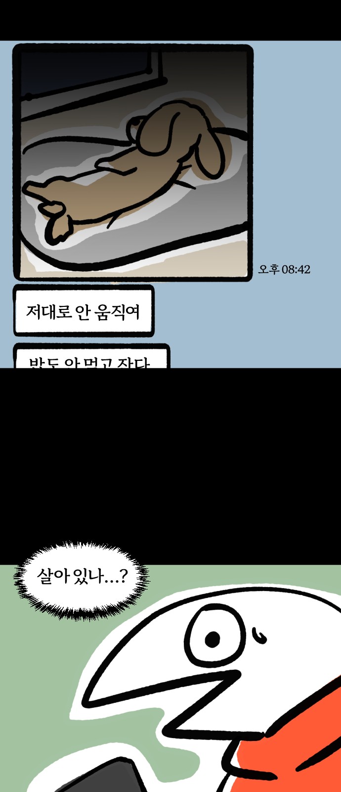 12 페이지