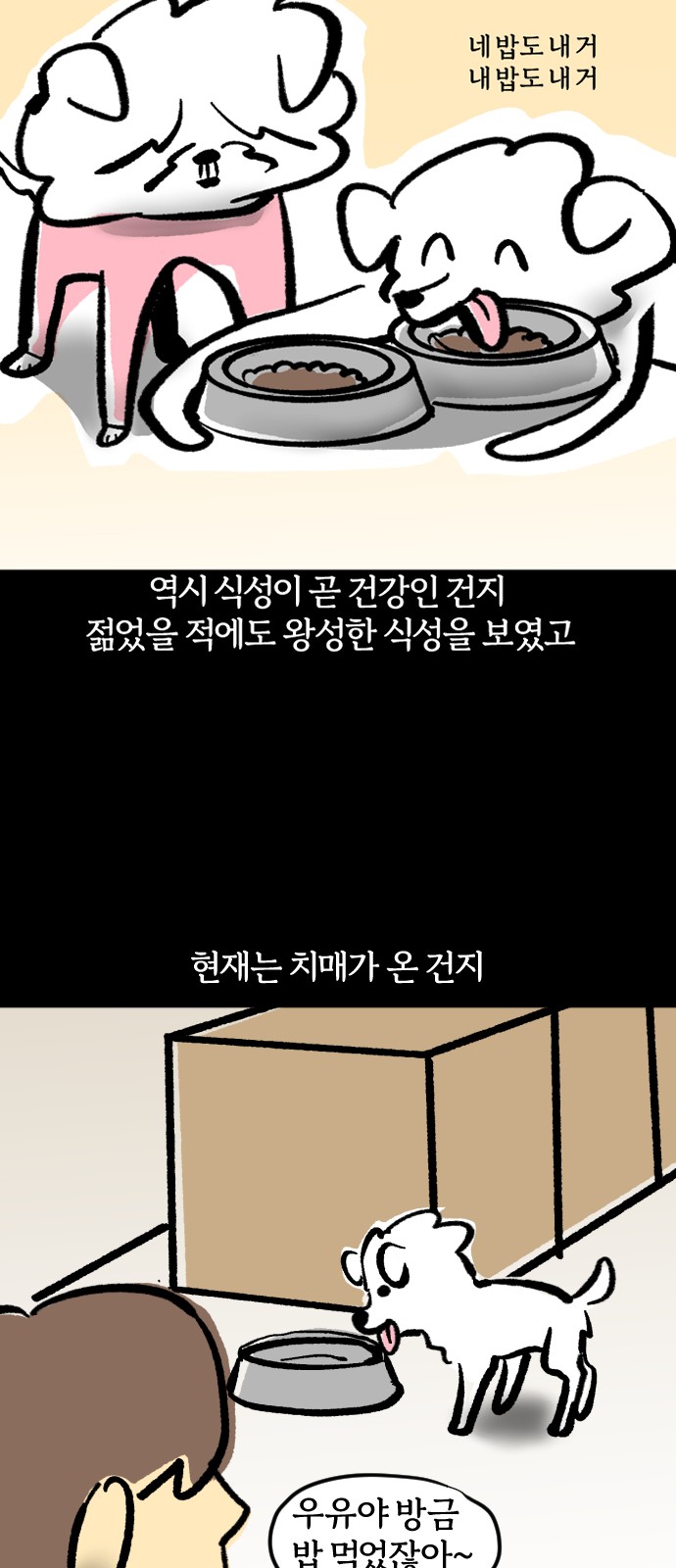 12 페이지