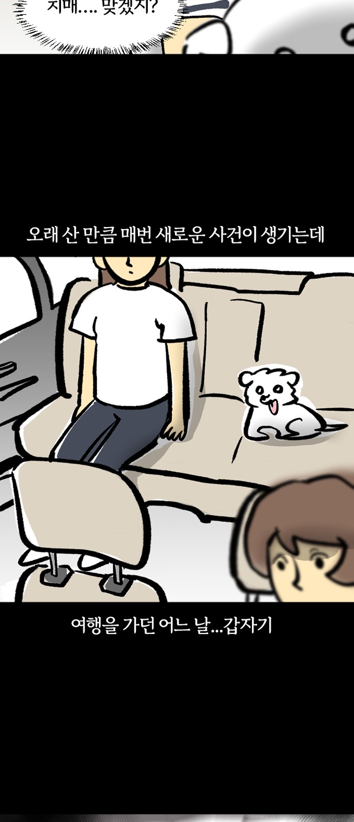 15 페이지