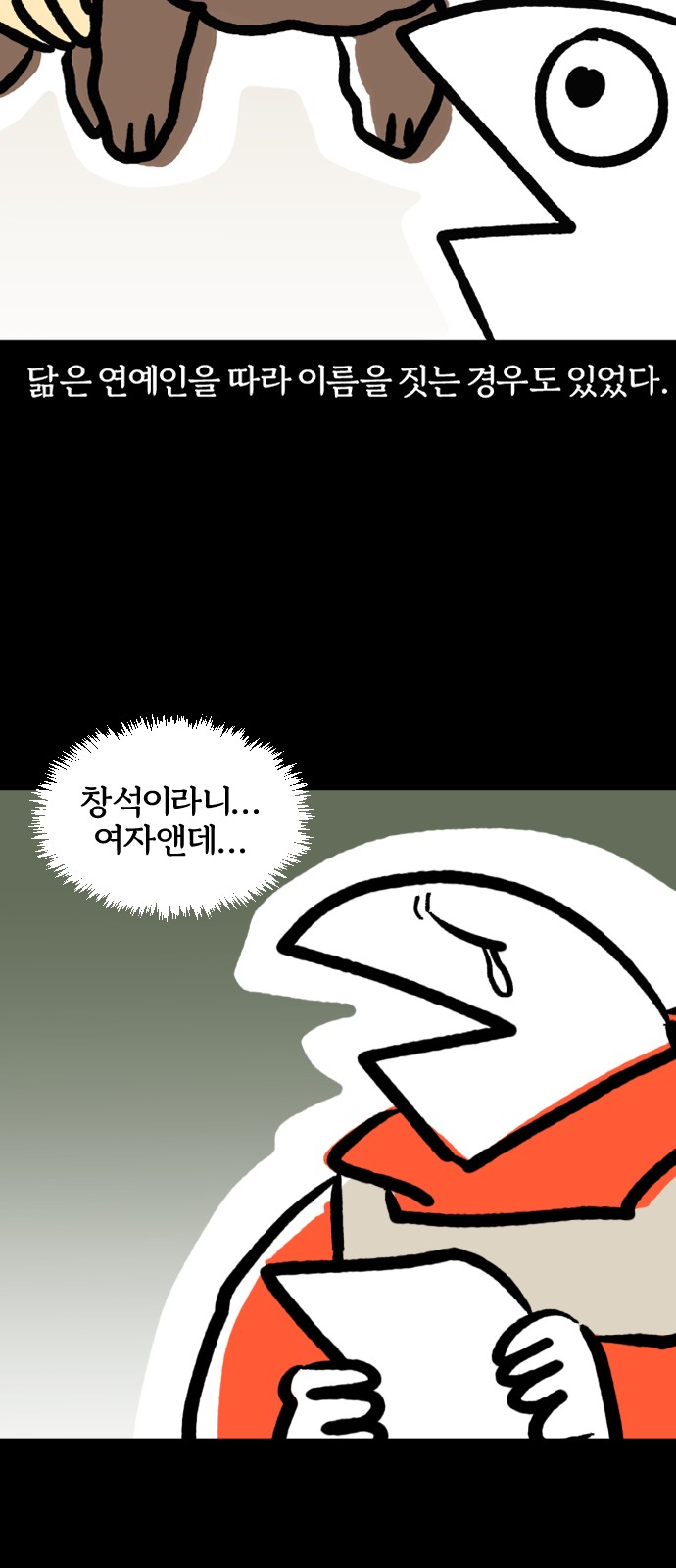 11 페이지