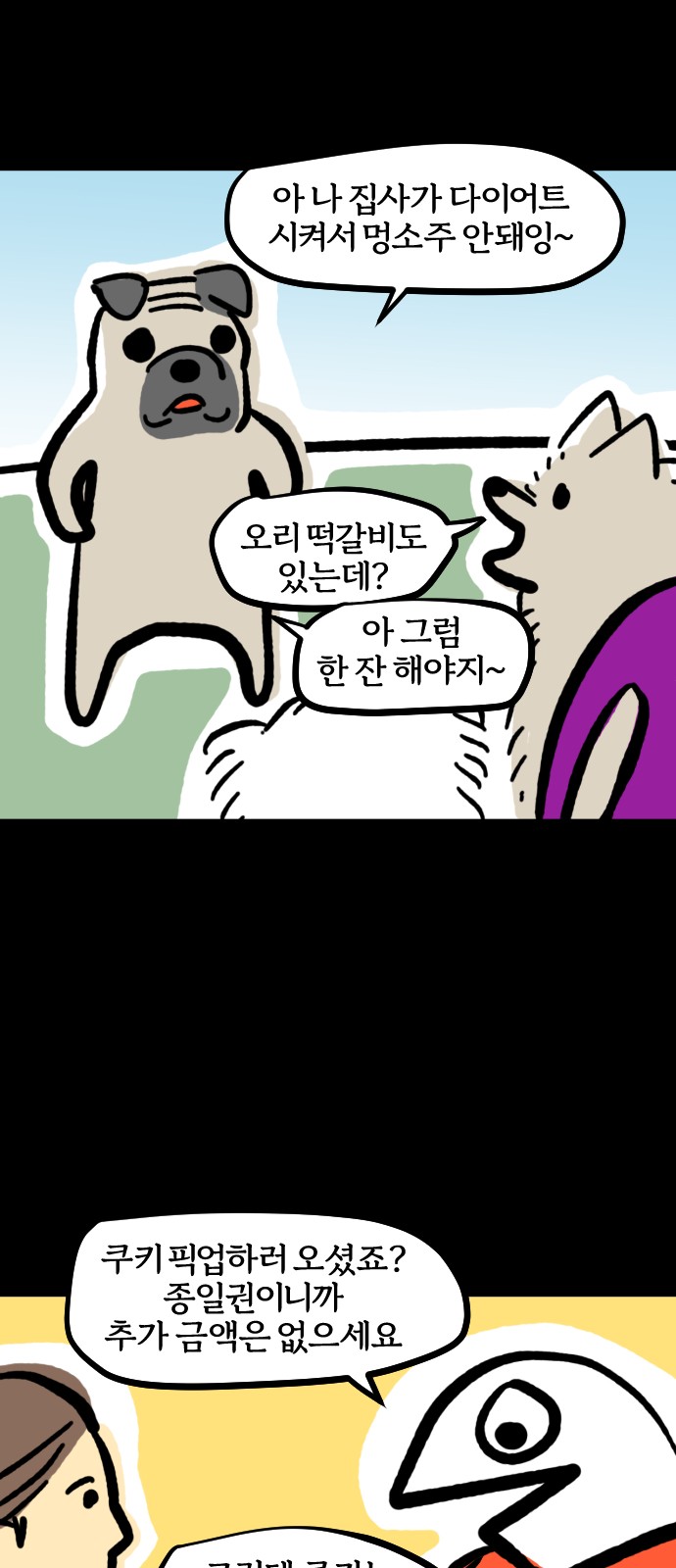 17 페이지