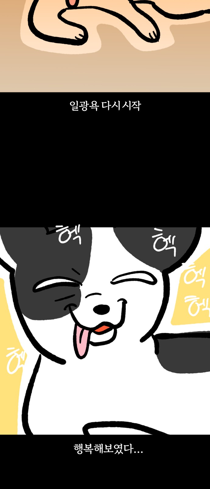 11 페이지