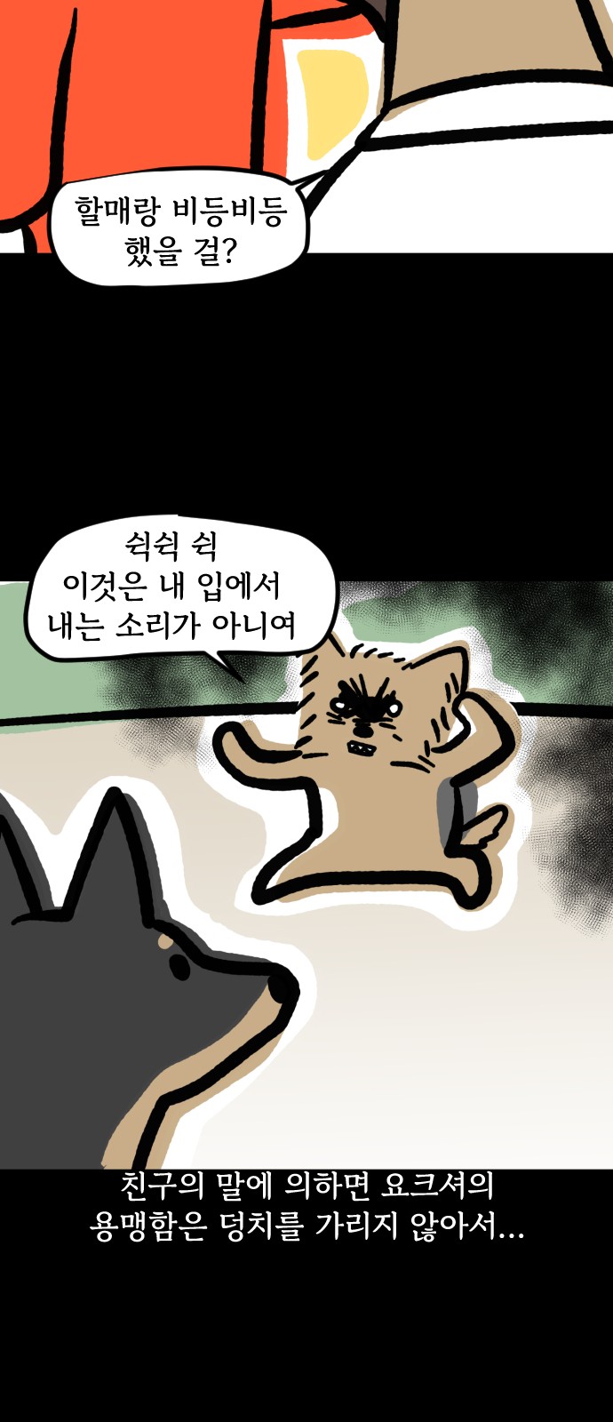 13 페이지