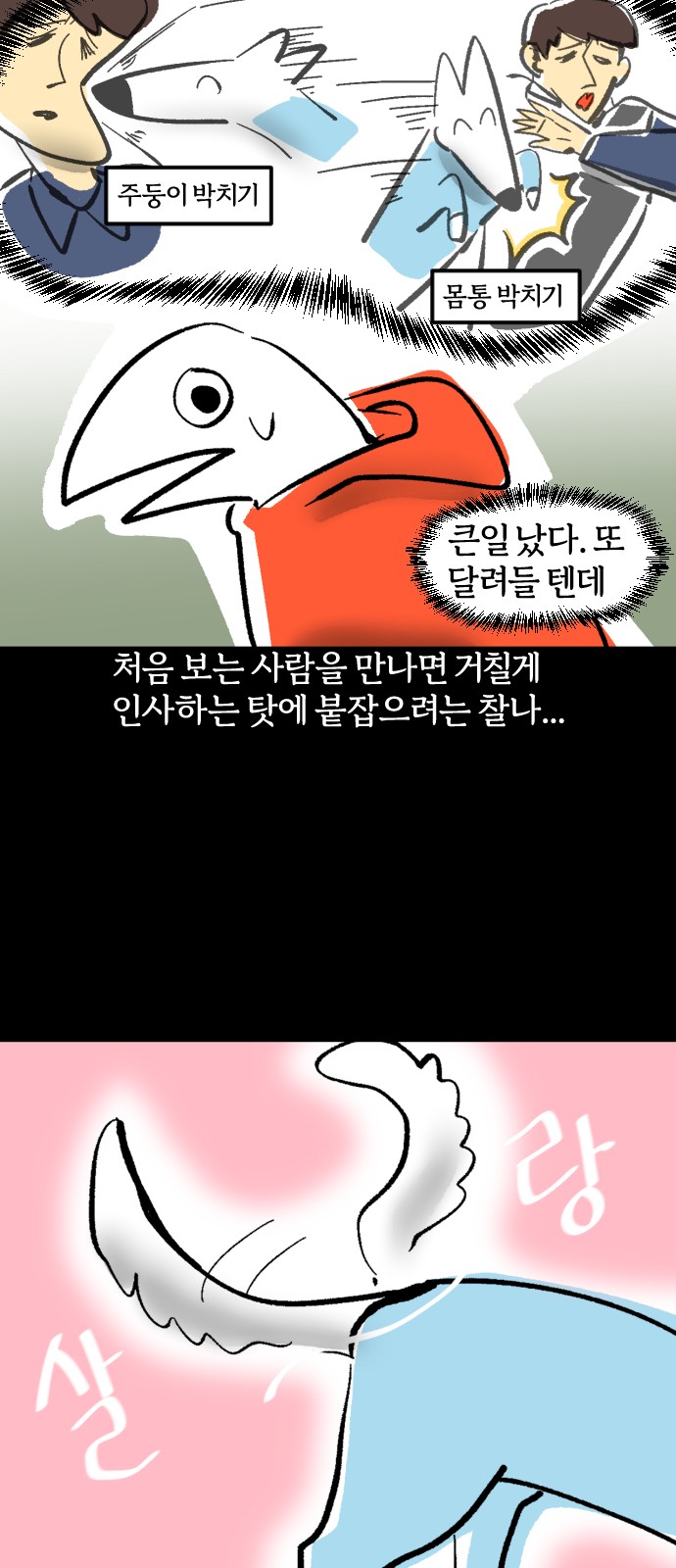 15 페이지