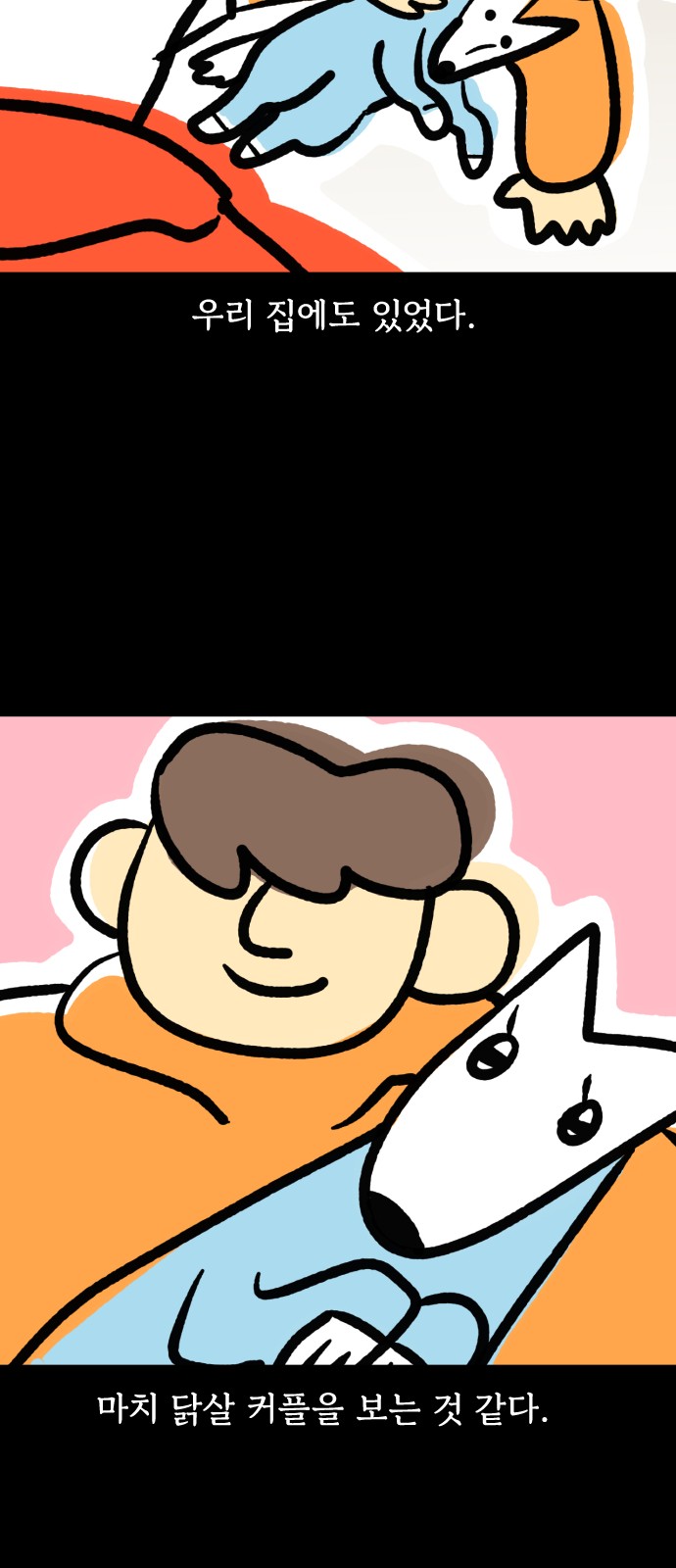6 페이지